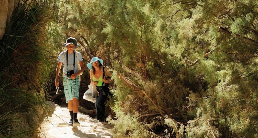 Фото: Shutterstock